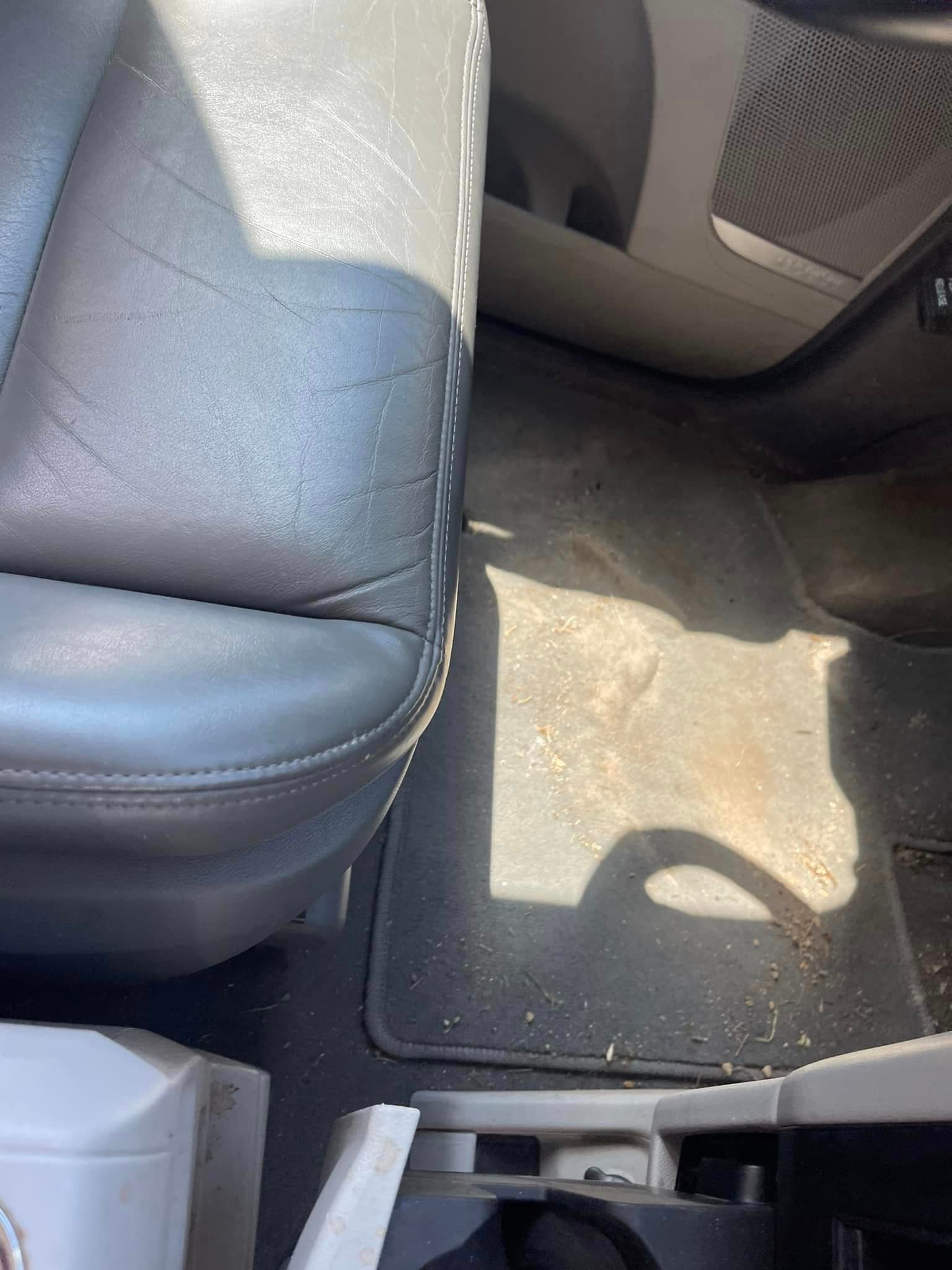 Auto Detailing - Town & Country detail - Professional Detailing Wisconsin Dells